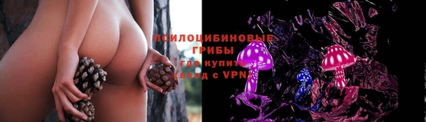 дживик Великий Новгород