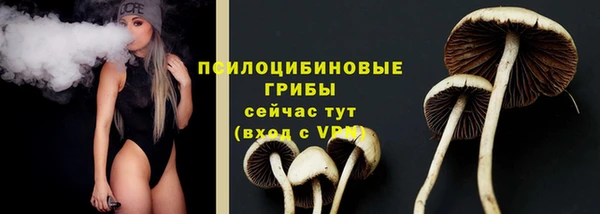 хмурый Лиски